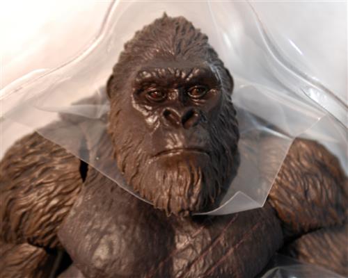 2021 Kong from Godzilla vs. Kong Neu 2022