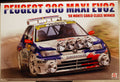 Beemax BX24026 1998 Peugeot 306 Maxi Evo Monte Carlo Class Winner 1:24 Bausatz