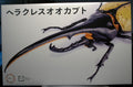 Fujimi 171210 Herkuleskäfer Hercules Beetle Bausatz