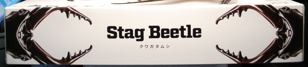 Fujimi 171241 Hirschkäfer Stag Beetle Bausatz