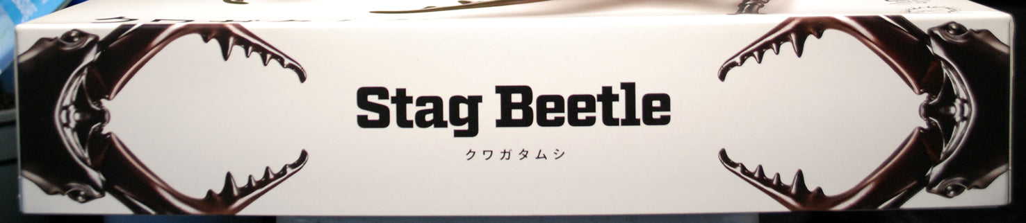 Fujimi 171241 Hirschkäfer Stag Beetle Bausatz