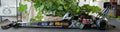 Autoworld CP7689 2020 Montana Brand 2020 NHRA Top Fuel John Force 1:24