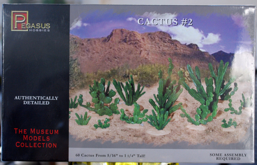 Pegasus 6508 Kakteen Kaktus Cactus # 2 60 Stück Sukkulenten Wüste Desert
